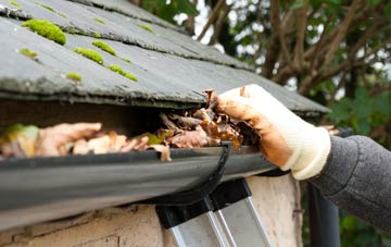 gutter cleaning Holbeck